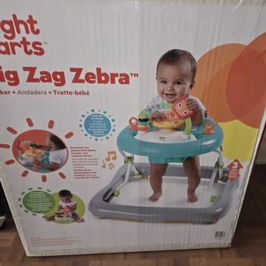 Zig Zag Zebra Walker - Teal and Gray